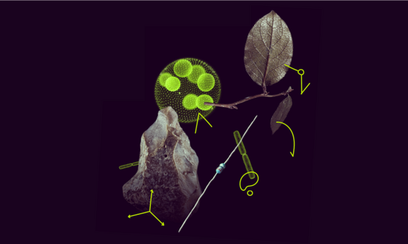 MSCA Postdoctoral Fellowships: The Path to an Excellent Career
