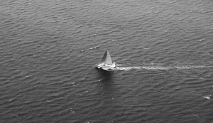 Wysokiej jakości programy stażowe (Zarządzanie w turystyce i sporcie)