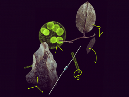 Konkurs MSCA Postdoctoral Fellowships 2025 otwarty!